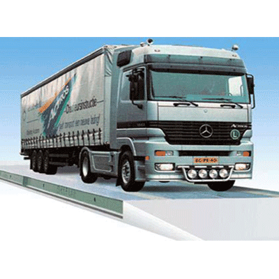 ���ߵ���