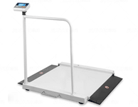 ˫�������γ�